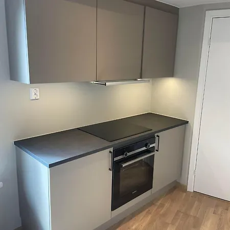 Apartment Toppleilighet I